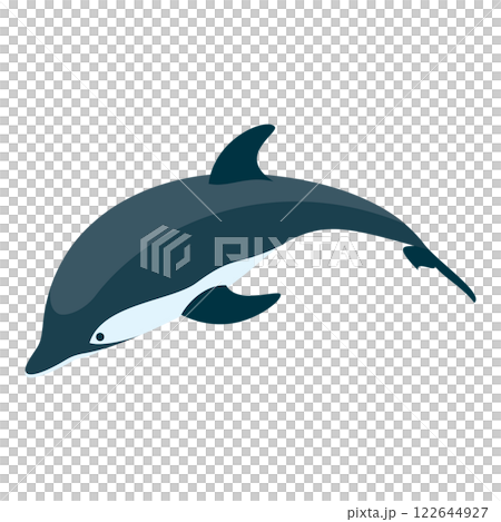 3D Isometric Flat Set of Types Of Dolphins. Item 9 3D Isometric Flat Set of Types Of Dolphins. Item 9 122644927