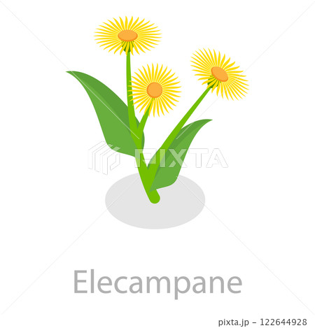 3D Isometric Flat Set of Astringent Herbs. Item 6 3D Isometric Flat Set of Astringent Herbs. Item 6 122644928