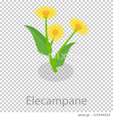 3D Isometric Flat Set of Astringent Herbs. Item 6 3D Isometric Flat Set of Astringent Herbs. Item 6 122644928