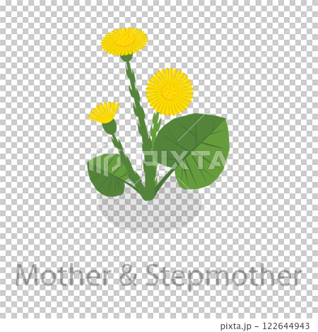 3D Isometric Flat Set of Healing Herbs. Item 8 3D Isometric Flat Set of Healing Herbs. Item 8 122644943