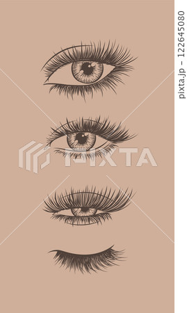 Eyes and eyelash collection brown Eyes and eyelash collection brown 122645080
