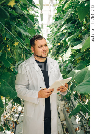Portrait, a scientist in a greenhouse is conducting significant research focused on various plants. Growing organic vegetables in a modern greenhouse, food industry. portrait of an employee Portrait, a scientist in a greenhouse is conducting significant research focused on various plants. Growing organic vegetables in a modern greenhouse, food industry. portrait of an employee 122646213