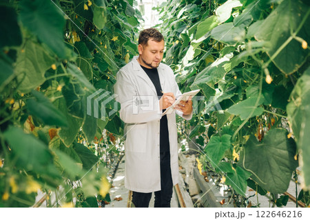 Hydroponic farming. Portrait, a scientist is analyzing different plants in a controlled greenhouse environment. Growing organic vegetables in a modern greenhouse, food industry. Hydroponic farming Hydroponic farming. Portrait, a scientist is analyzing different plants in a controlled greenhouse environment. Growing organic vegetables in a modern greenhouse, food industry. Hydroponic farming 122646216