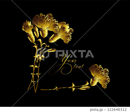 Golden carnation flowers . hand drawing. Not AI, Vector illustration Golden carnation flowers . hand drawing. Not AI, Vector illustration 122646312
