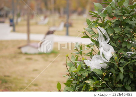Plastic Bag Caught on Tree Branch in a Public Park, environmental pollution 122646482