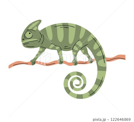 Green chameleon on a branch Green chameleon on a branch 122646869