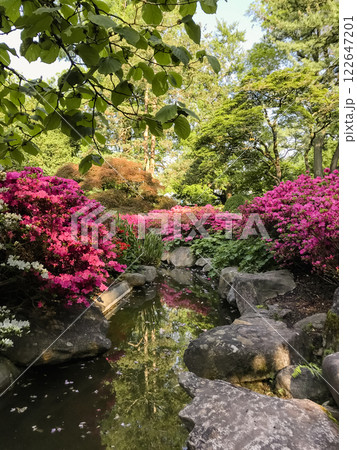 Garden with a small stream of water running through it Garden with a small stream of water running through it 122647201