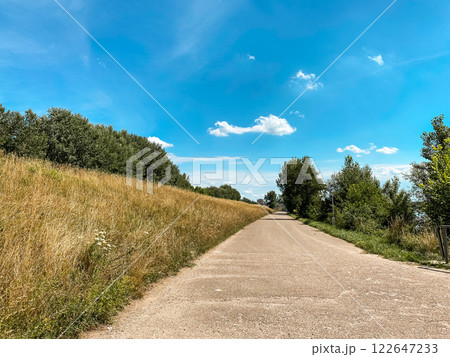 Road with a tree line on either side 122647233