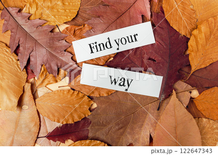 Pile of autumn leaves with the words find your way written on them 122647343