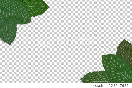 角落處有鋸齒狀綠葉的框架 122647671