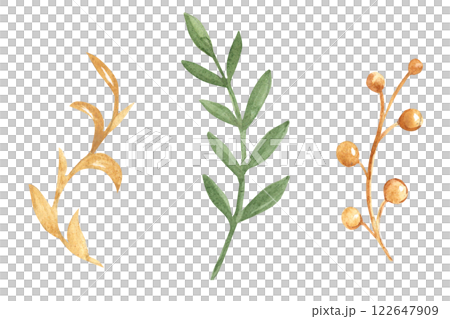 Branches Set in green and gold colors. Hand drawn Watercolor floral illustration isolated on a white background. Design elements for greeting cards and prints, floral designs. Branches Set in green and gold colors. Hand drawn Watercolor floral illustration isolated on a white background. Design elements for greeting cards and prints, floral designs. 122647909