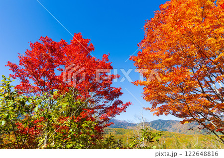 秋の信州長野　紅葉の乗鞍高原 122648816