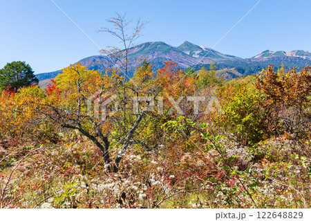 秋の信州長野　紅葉の乗鞍高原 122648829