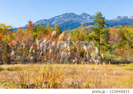 秋の信州長野　紅葉の乗鞍高原 122648831