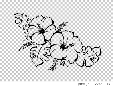simple hibiscus illustration 122649045