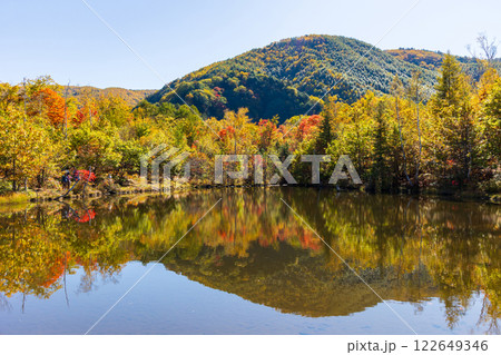 秋の信州長野　紅葉の乗鞍高原　まいめの池 122649346