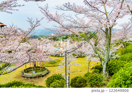 尾道 桜満開の千光寺公園 122649808