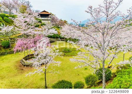 尾道 桜満開の千光寺公園 122649809