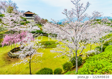 尾道 桜満開の千光寺公園 122649810