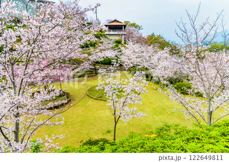 尾道 桜満開の千光寺公園 122649811