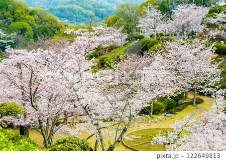 尾道 桜満開の千光寺公園 尾道 桜満開の千光寺公園 122649813