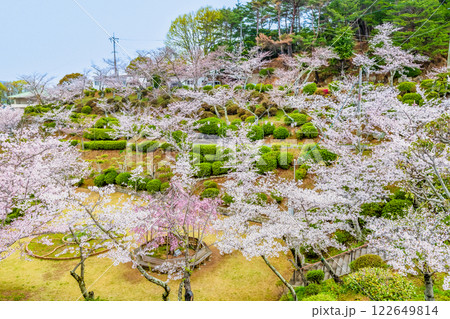 尾道 桜満開の千光寺公園 122649814