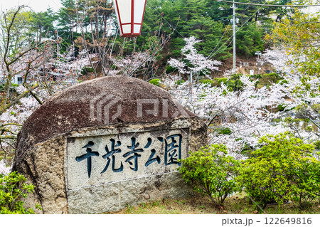 尾道 桜満開の千光寺公園 尾道 桜満開の千光寺公園 122649816