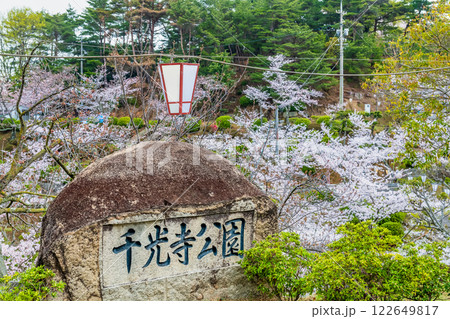 尾道 桜満開の千光寺公園 尾道 桜満開の千光寺公園 122649817