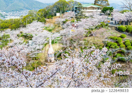 尾道 桜満開の千光寺公園 122649833