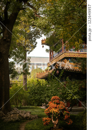 Beihai Park autumn scene with bonsai and pagoda, Beijing, China 122649957