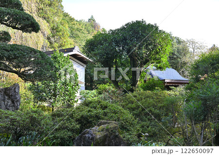 山中にひっそりと佇む天霊山空恵寺　境内　渋川市　 122650097