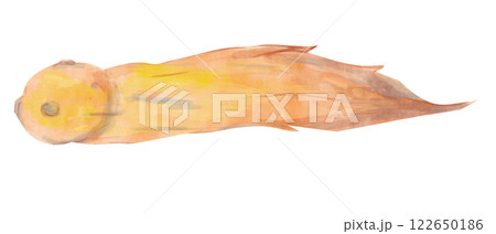 Watercolor Flying Comet in Childish Style Clipart Illustration for Textile, Print and Web Design	 122650186