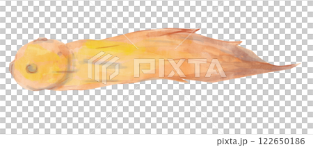 Watercolor Flying Comet in Childish Style Clipart Illustration for Textile, Print and Web Design	 122650186
