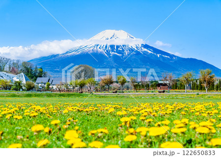 富士山と花畑　～山中湖花の都公園～ 122650833