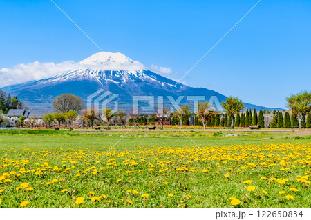 富士山と花畑　～山中湖花の都公園～ 122650834