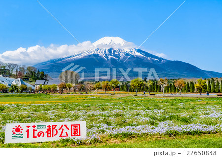 富士山と花畑 ~山中湖花の都公園~ 富士山と花畑 ~山中湖花の都公園~ 122650838