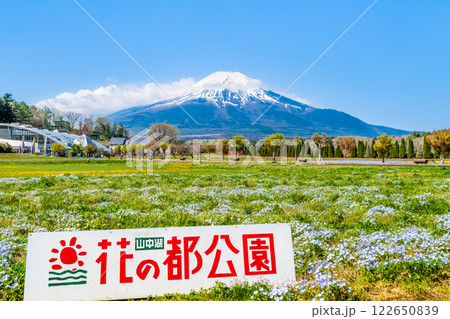 富士山と花畑 ~山中湖花の都公園~ 富士山と花畑 ~山中湖花の都公園~ 122650839