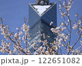 桜に包まれる福岡タワー 122651082