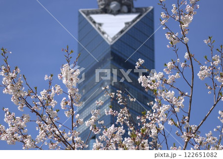桜に包まれる福岡タワー 122651082