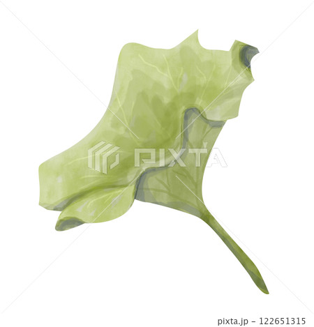 Watercolor Lotus Plant Leaf Side View, Vibrant Textured Illustration for Print, Web and Textile	 122651315