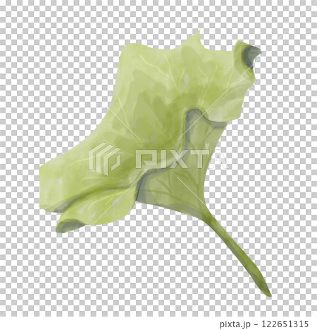Watercolor Lotus Plant Leaf Side View, Vibrant Textured Illustration for Print, Web and Textile	 122651315
