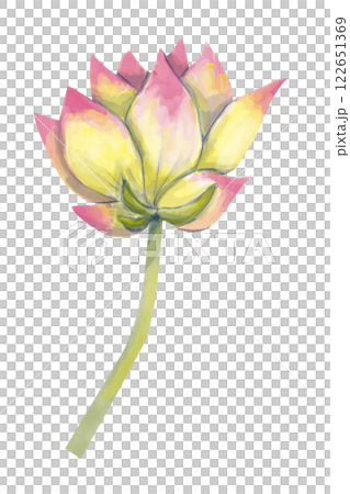 watercolor, lotus, flower 122651369