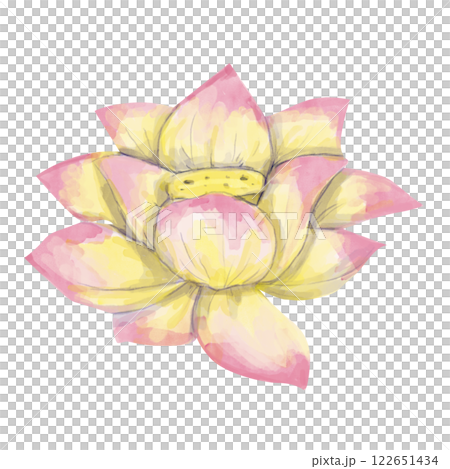 watercolor, lotus, flower 122651434