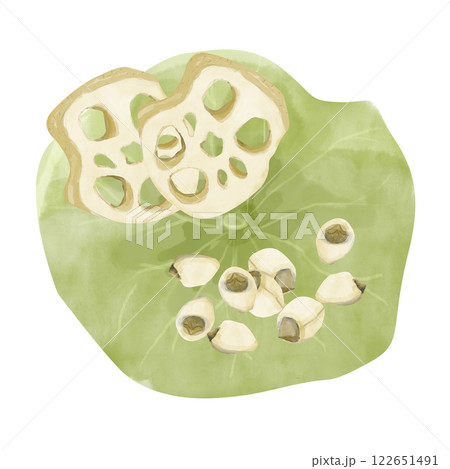 Watercolor Leaf, Lotus Root Pieces and Seeds, Illustration Composition for Web, Print, Textile, Products and Advertising	 122651491