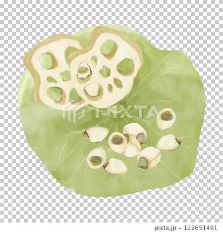 Watercolor Leaf, Lotus Root Pieces and Seeds, Illustration Composition for Web, Print, Textile, Products and Advertising	 122651491