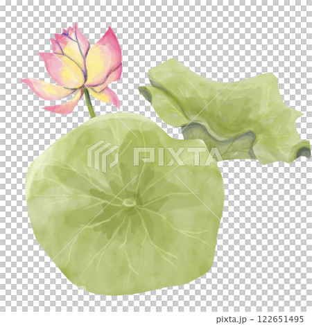 watercolor, flower, lotus 122651495