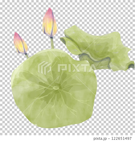 Watercolor Lotus Illustration: Leaves and Buds, Ready Template Composition for Printing, Web and Textiles 122651497