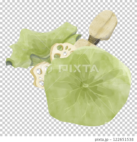 Watercolor Lotus Illustration: Big Leaves, Root, Root Slices, Ready-Made Template Composition for Printing, Web and Textiles 122651538