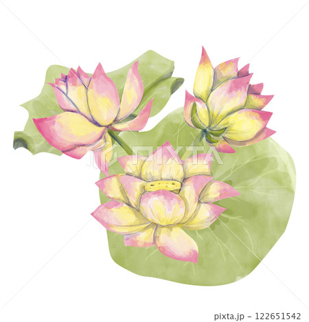 Watercolor Illustration with Lotus Flower Accent on Green Large Leaves, Ready-Made Template Composition for Printing, Web and Textiles 122651542