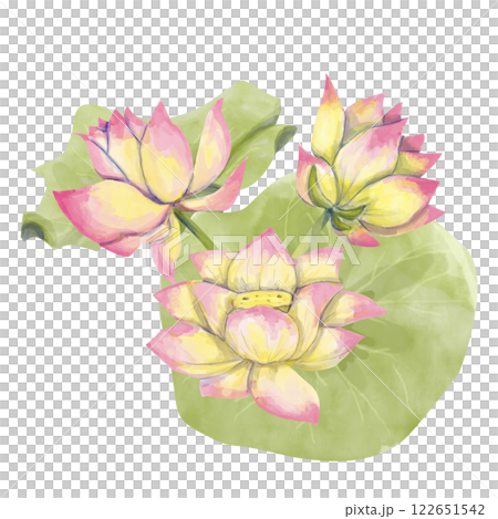Watercolor Illustration with Lotus Flower Accent on Green Large Leaves, Ready-Made Template Composition for Printing, Web and Textiles 122651542